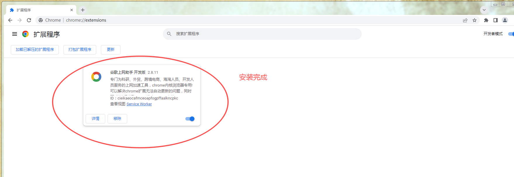 国内怎么用谷歌搜索引擎?手把手教你用电脑谷歌搜索引擎(超详细)