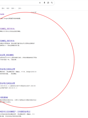 网站seo优化首选谷歌，谷歌收录依旧给力