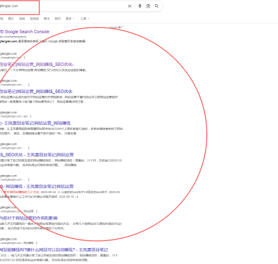 网站seo优化首选谷歌，谷歌收录依旧给力