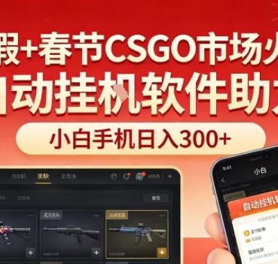 寒假+春节CSGO市场火爆，配合游戏自动挂G软件，小白只用一台手机也可日入3张【揭秘】