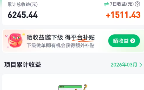 做了3个月的网盘拉新项目，总收益6245.44