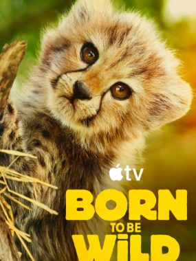 [夸克网盘]英国纪录片《生而狂野》（2025）