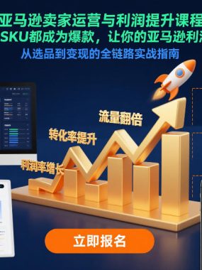 亚马逊卖家运营与利润提升课程，让你的每个SKU都成为爆款，让你的亚马逊利润一路飙升(更新26年3月)
