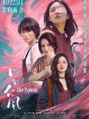 【4K电影】下一个台风 (2025) 剧情 4K-2160P国语中字幕【张子枫/张伟丽/李心洁/姚晨】