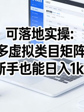 可落地实操：拼多多虚拟类目矩阵玩法，新手也能日入1k+【揭秘】