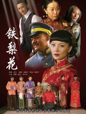 [夸克网盘][国剧]《铁梨花》（2010）剧情 / 动作 / 爱情 豆瓣8.1