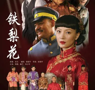 [夸克网盘][国剧]《铁梨花》（2010）剧情 / 动作 / 爱情 豆瓣8.1