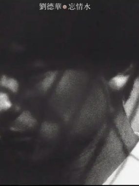 刘德华 1994年专辑《忘情水》FLAC无损音质经典重制