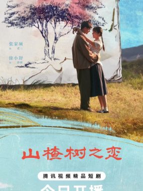 [夸克网盘]国内短剧《山楂树之恋》（2025）爱情