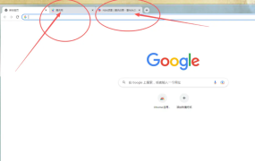 国内怎么用谷歌搜索引擎？手把手教你用电脑谷歌搜索引擎（超详细）