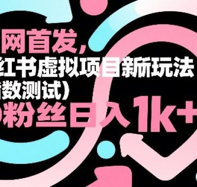 全网首发，小红书虚拟项目新玩法（指数测试），0粉丝日入1k+，整个玩法完整拆解！