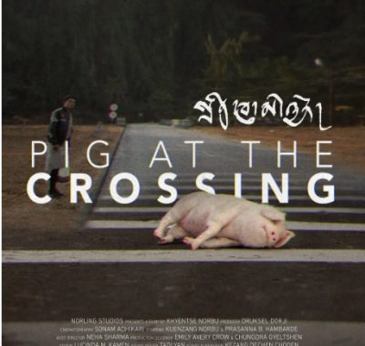 [夸克网盘]不丹电影《十字路口的猪》（2024）剧情 豆瓣7.5