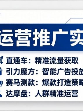 淘宝运营推广实战课，直通车+引力魔方+赛马测款+达摩盘人群推广等(更新26年3月