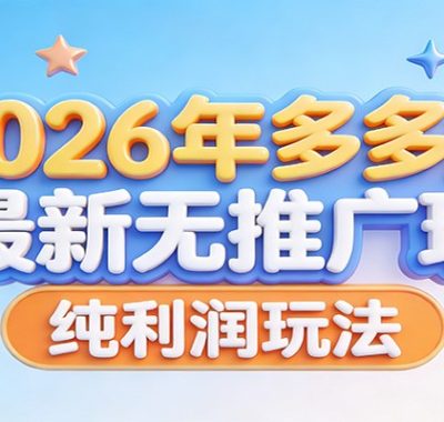 2026年多多虚拟最新无推广，纯利润玩法