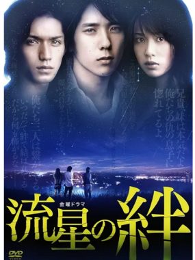 [夸克网盘][日剧]《流星之绊》（2008）剧情 豆瓣8.4