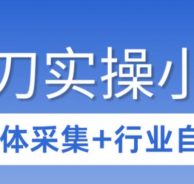 3天攻克影刀RPA：自媒体数据采集+行业自动化全流程