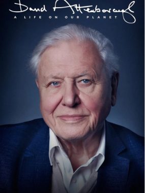 [夸克网盘]英国纪录片《大卫·爱登堡：地球上的一段生命旅程》（2020）纪录片 / 传记 豆瓣9.4