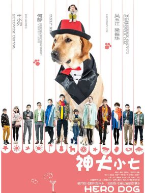 [夸克网盘][国剧]《神犬小七》（1-3季）（2015-2019）喜剧 / 爱情 豆瓣7.5