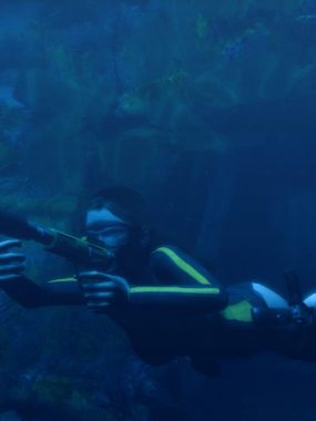 古墓丽影8：地下世界/Tomb Raider: Underworld