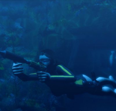 古墓丽影8：地下世界/Tomb Raider: Underworld