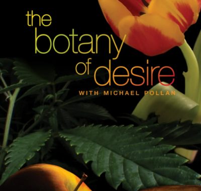 [夸克网盘]美国纪录片《植物的欲望》（2009）豆瓣7.8