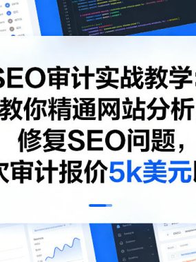 SEO审计实战教学：教你精通网站分析，修复SEO问题，单次审计报价5k美元以上