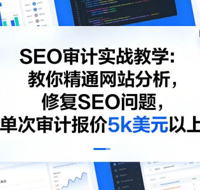 SEO审计实战教学：教你精通网站分析，修复SEO问题，单次审计报价5k美元以上