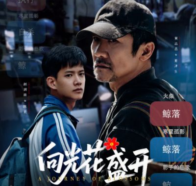[夸克网盘]国内电影《向光花盛开》（2025）剧情