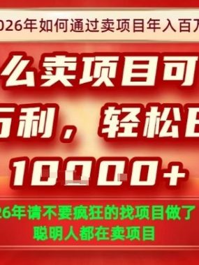 一单净利润1K+，26年想年入100个W，死磕卖项目就够了【揭秘】