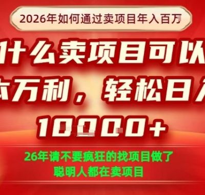 一单净利润1K+，26年想年入100个W，死磕卖项目就够了【揭秘】