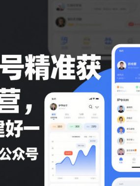 IP公众号精准获客训练营，从0-1搭建好一个能賺钱的IP公众号（更新）