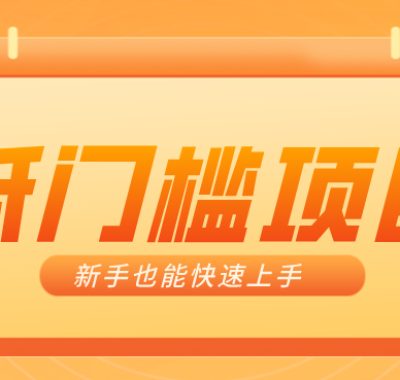 普通人搞钱小项目：视频号AI玩法，轻松制作10W+靠播放量月入万元