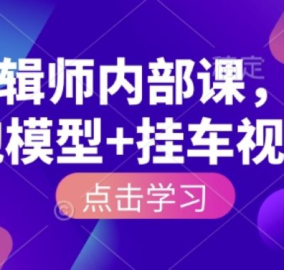 IP剪辑师内部课，涨粉跑模型+挂车视频(更新)