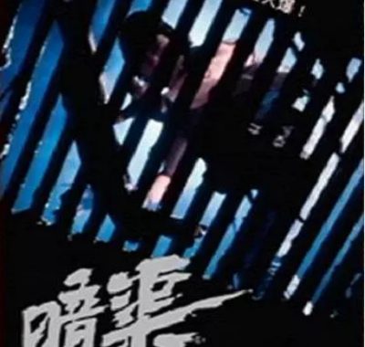 [夸克网盘]香港电影《暗渠》（1983）动作 / 惊悚 / 犯罪 豆瓣6.8