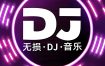 2025年11月抖音车载热门DJ歌曲无损合集
