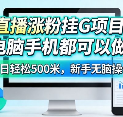 直播涨粉挂G项目，电脑手机都可以做，单日轻松500米，新手无脑操作【揭秘】