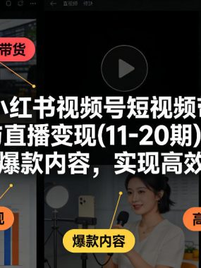 抖音小红书视频号短视频带货与直播变现(10-20期)，打造爆款内容，实现高效变现（更新）
