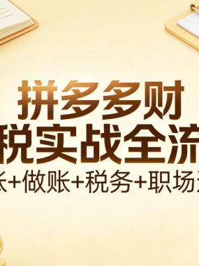 拼多多财税实战全流程（对账+做账+税务+职场进阶）