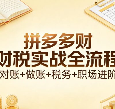 拼多多财税实战全流程（对账+做账+税务+职场进阶）
