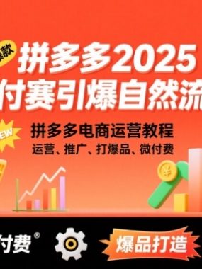 拼多多微付费引爆自然流量，拼多多电商运营教程，运营、推广、打爆品、微付费（更新26年2月）