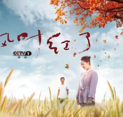 [夸克网盘][国剧] 《枫叶红了》（2020）剧情