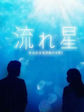 [夸克网盘][日剧]《流星》（2010）剧情 / 爱情 豆瓣8.0