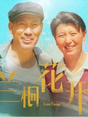 [夸克网盘][国剧]《兰桐花开》（2019）剧情