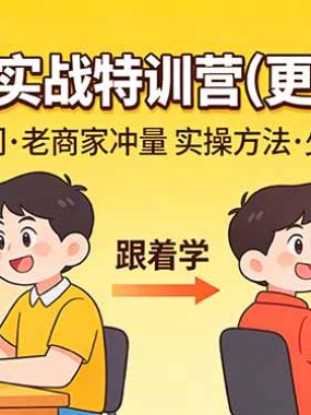 拼多多实战特训营(更新3月)