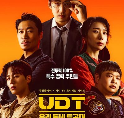 UDT：我们小区特工队 2025 内封简繁字幕 10集完结 1080P