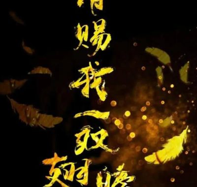 [夸克网盘][国剧]《请赐我一双翅膀》（2019）剧情 / 悬疑