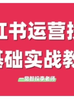 小红书运营投流，小红书广告投放从0到1的实战课，学完即可开始投放（更新26年）