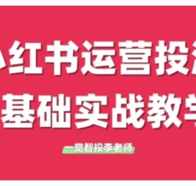 小红书运营投流，小红书广告投放从0到1的实战课，学完即可开始投放（更新26年）