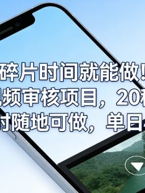 碎片时间就能做！手机视频审核项目，20秒一单，随时随地可做，单日4张+【揭秘】