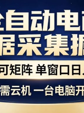 全自动电商数据集掘金，批量可矩阵，单窗口日入30+，无需云机，一台电脑开干【揭秘】